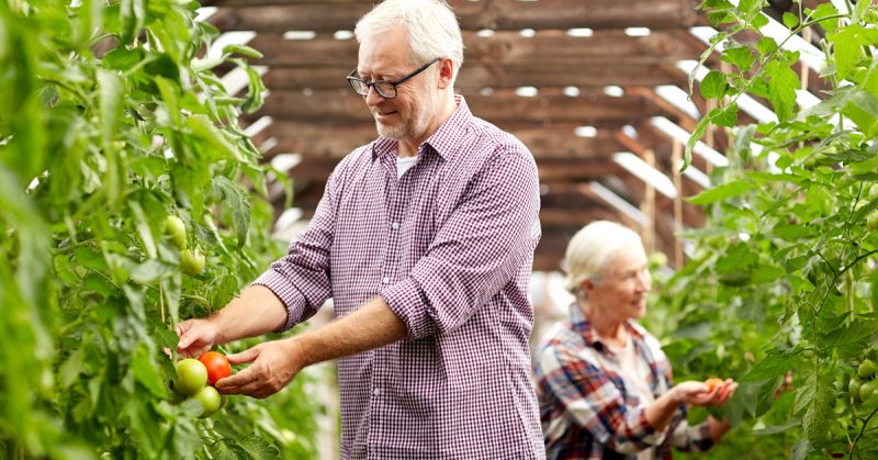 Ypeuthinos Marketing Trofimon B 800x419